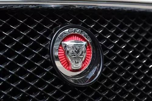 車標上的動物都是啥來頭？看完又能出去裝X了