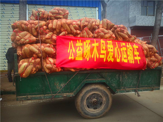 ＂愛心蘿卜＂來了！