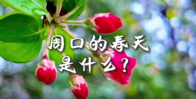 周口的春天，待你慢慢遇見